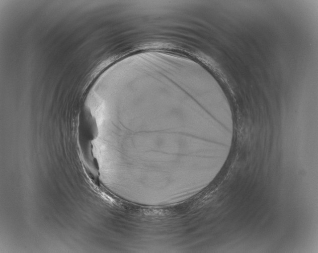 X0000078860945200612111644