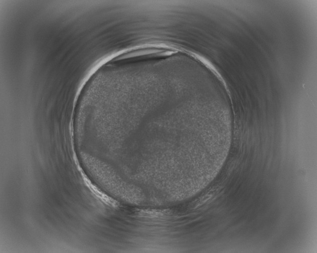 X0000078860951200612111644