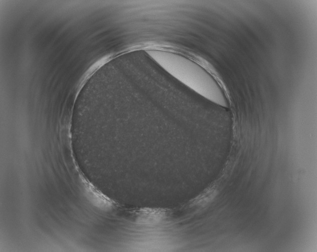X0000078860954200612111644