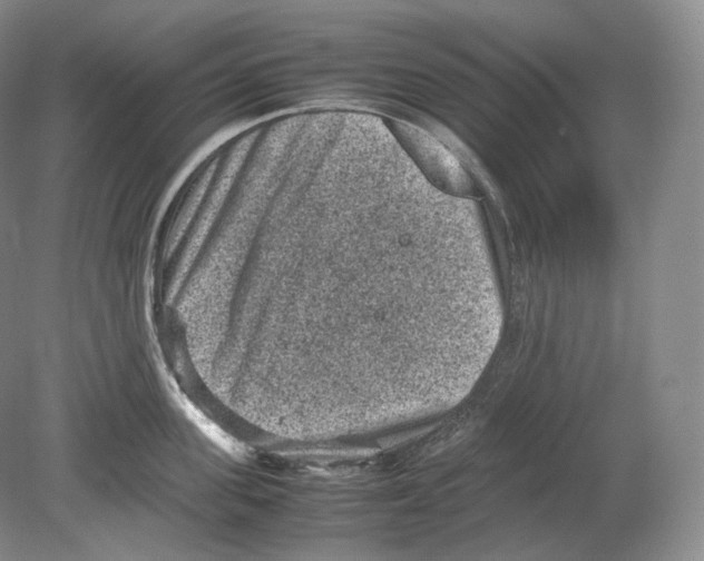X0000078860955200612111644