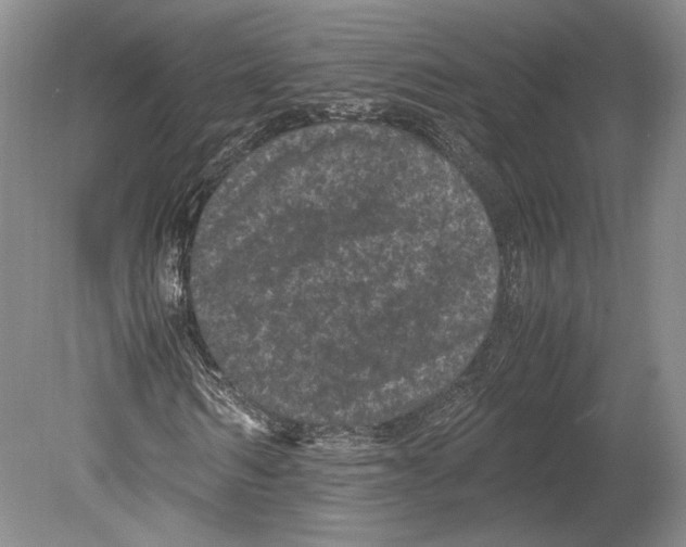 X0000078860962200612111643