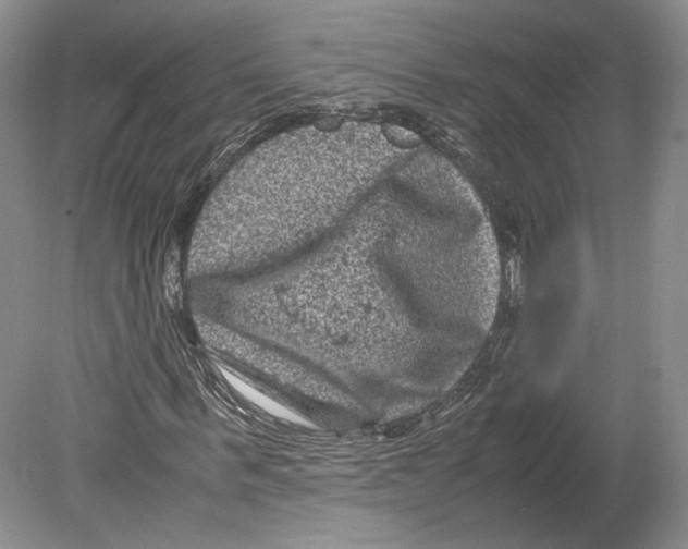 X0000078860963200612111643