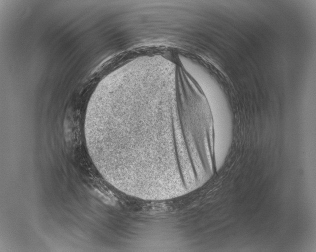 X0000078860968200612111643