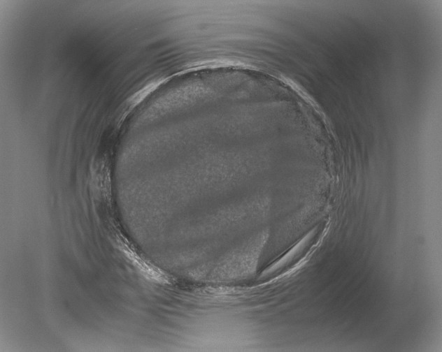X0000078860969200612111643