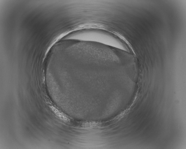 X0000078860973200612111643