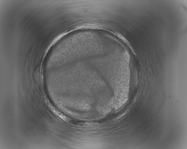 X0000078860981200612111643