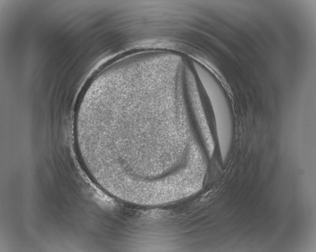 X0000078860992200612111643