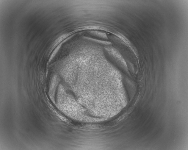 X0000078860993200612111643
