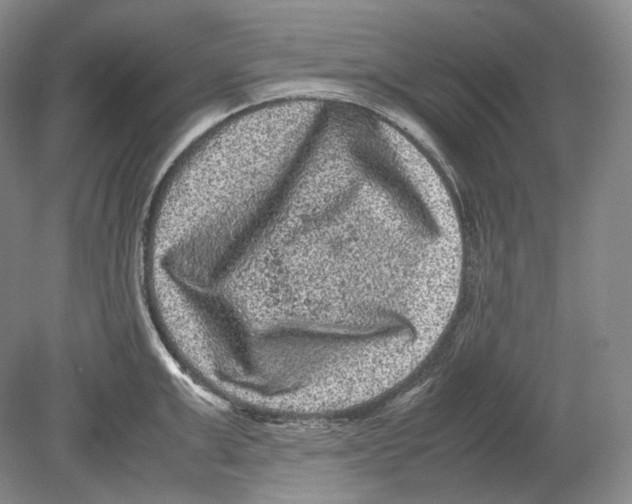 X0000078860999200612111643