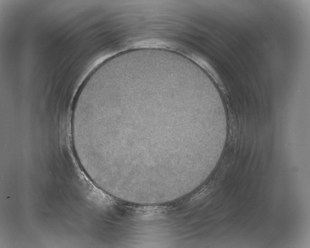X0000078861000200612111643