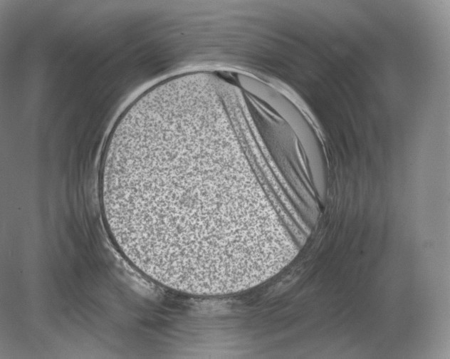 X0000078861004200612111643