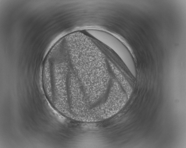 X0000078861006200612111643