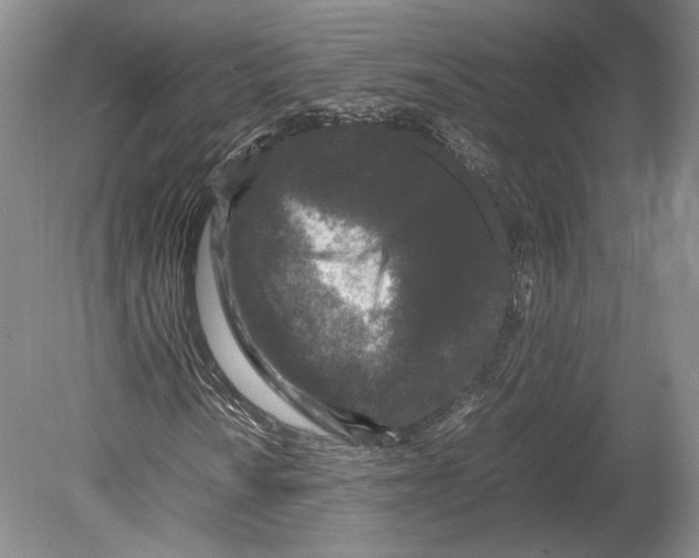 X0000078861010200612111642