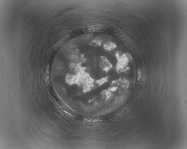 X0000078861011200612111642