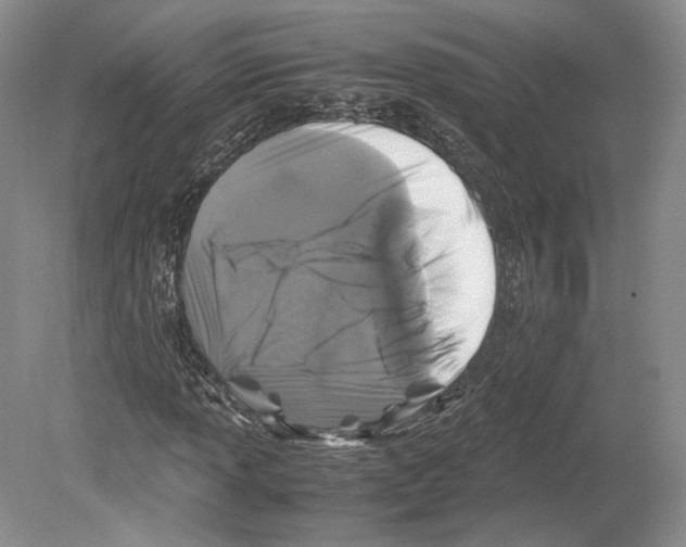 X0000078861013200612111642