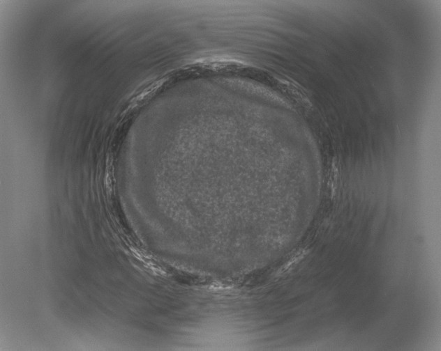 X0000078861014200612111642