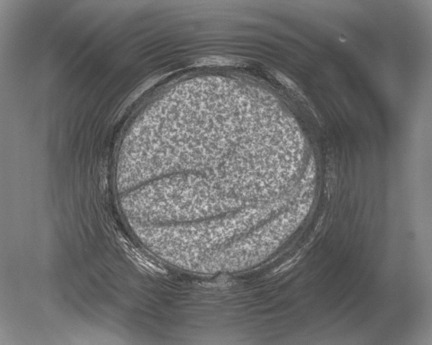 X0000078861017200612111642