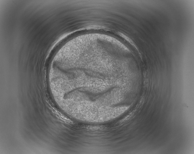 X0000078861021200612111642