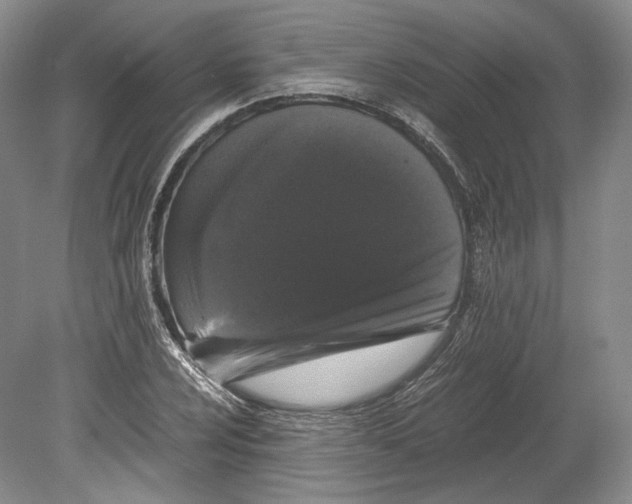 X0000078861024200612111642