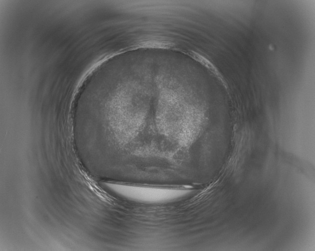 X0000078861027200612111642
