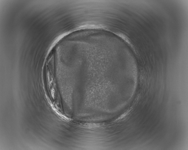 X0000078861030200612111642