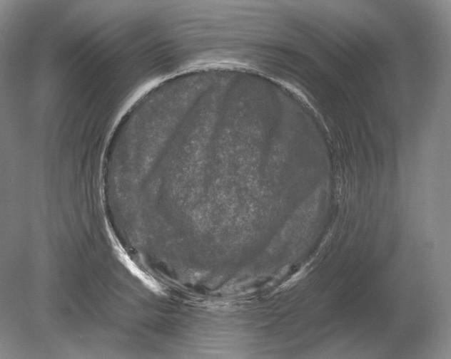 X0000078861038200612111642