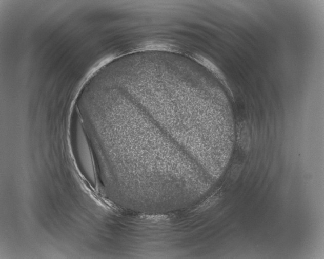 X0000078861043200612111642