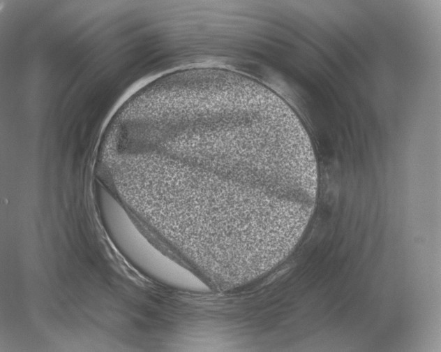 X0000078861052200612111642
