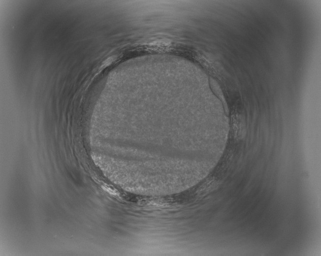 X0000078861057200612111642