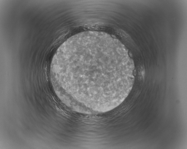 X0000078861060200612111642