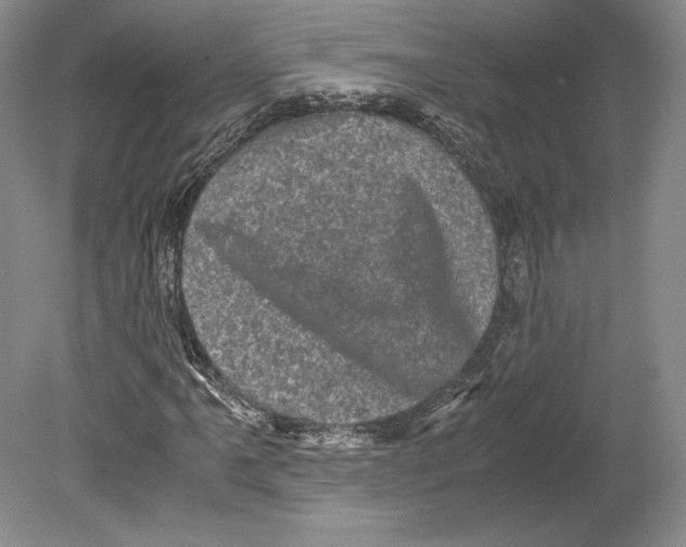 X0000078861061200612111642