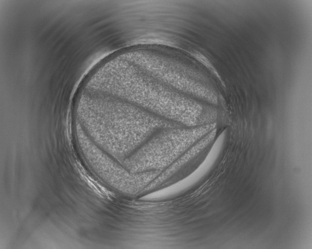 X0000078861076200612111641