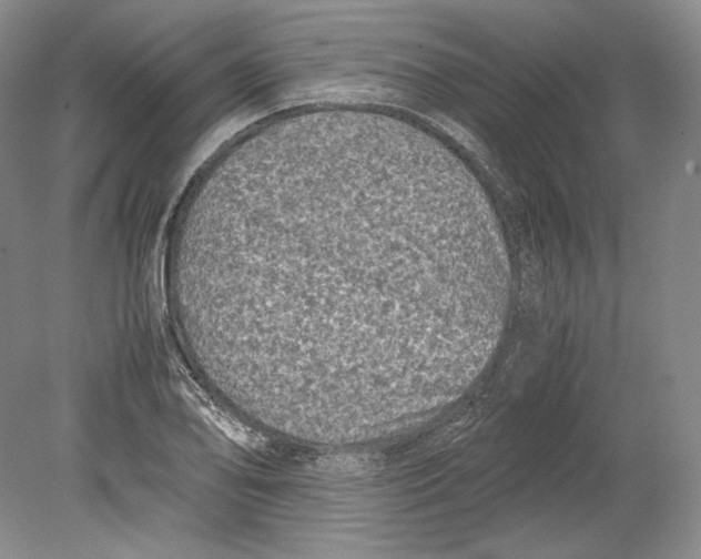 X0000078861078200612111641