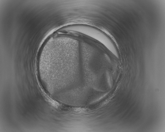 X0000078861085200612111641