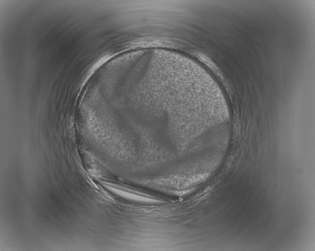 X0000078861089200612111641