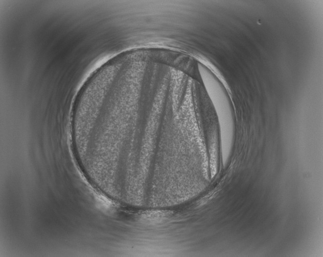 X0000078861093200612111641