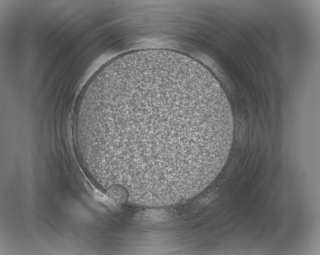 X0000078861094200612111641