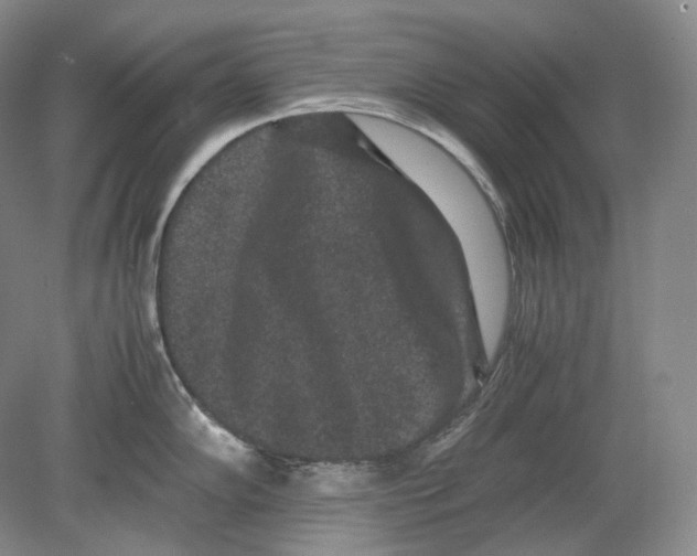 X0000078861102200612111641