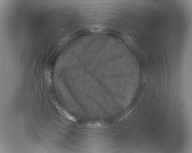 X0000078861106200612111640