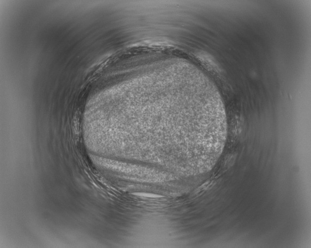 X0000078861110200612111640