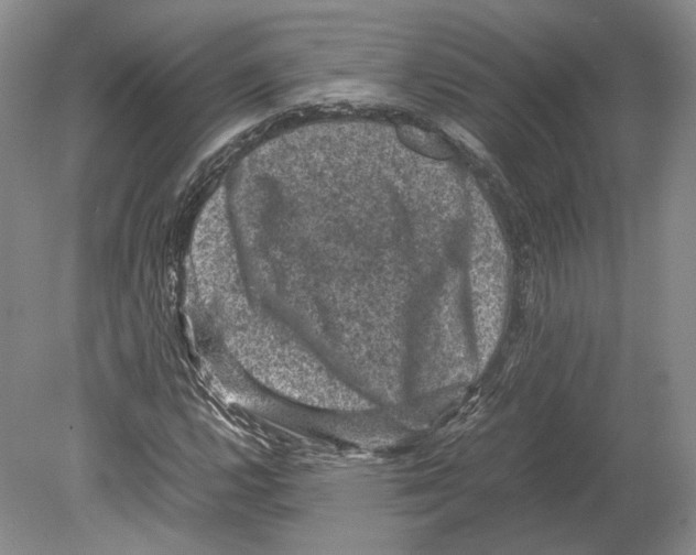 X0000078861112200612111640