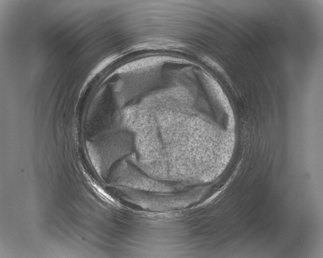 X0000078861114200612111640