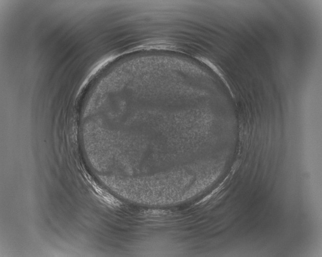 X0000078861115200612111640