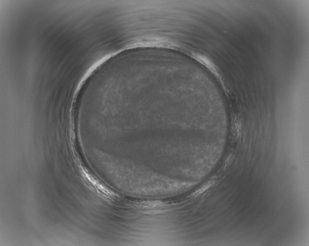 X0000078861120200612111640