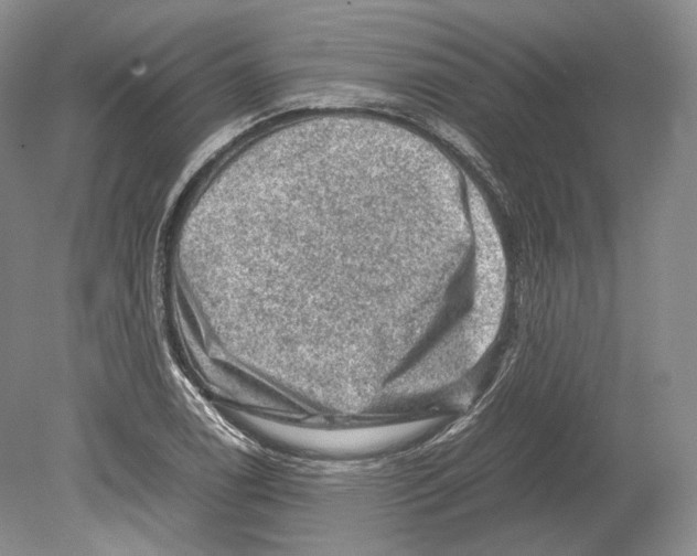 X0000078861122200612111640