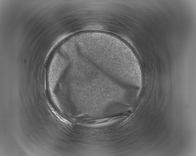 X0000078861123200612111640