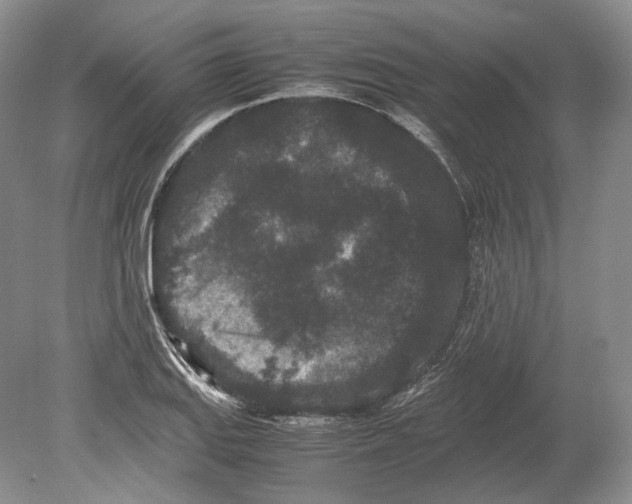 X0000078861127200612111640
