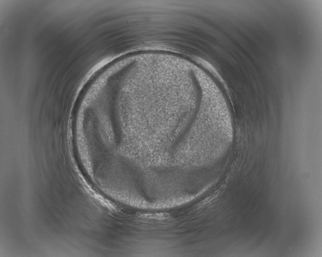 X0000078861133200612111641
