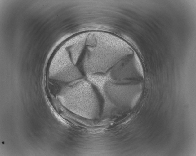 X0000078861136200612111641