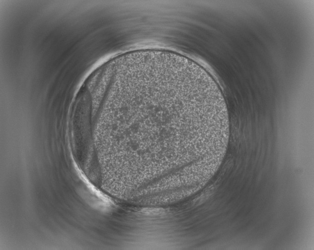 X0000078861142200612111641